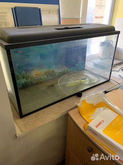 Аквариум на 200 литров