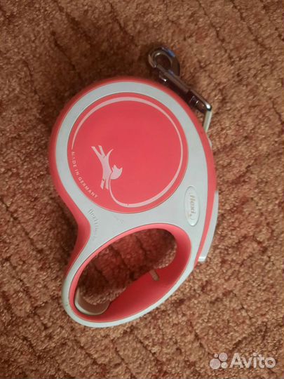 Вещи для собак