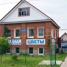 Гагино нижегородская область свежие объявления. Село Гагино улица Ленина. Гагино ул Ленина дом 10. Гагино Интернациональная ул.