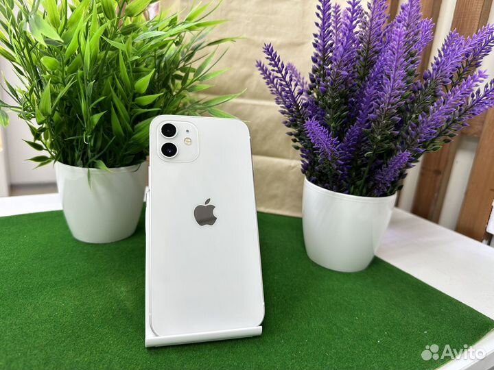 iPhone 12, 128 ГБ