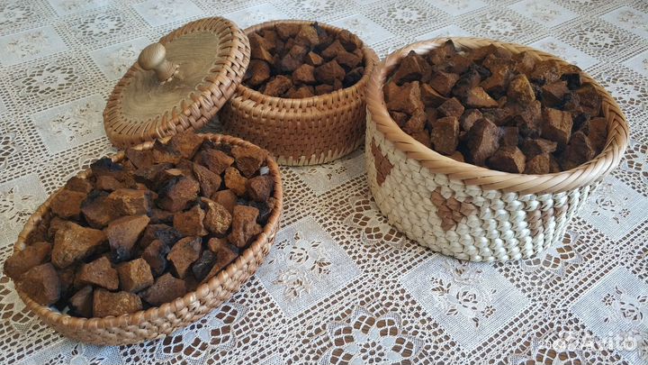 Чага продам