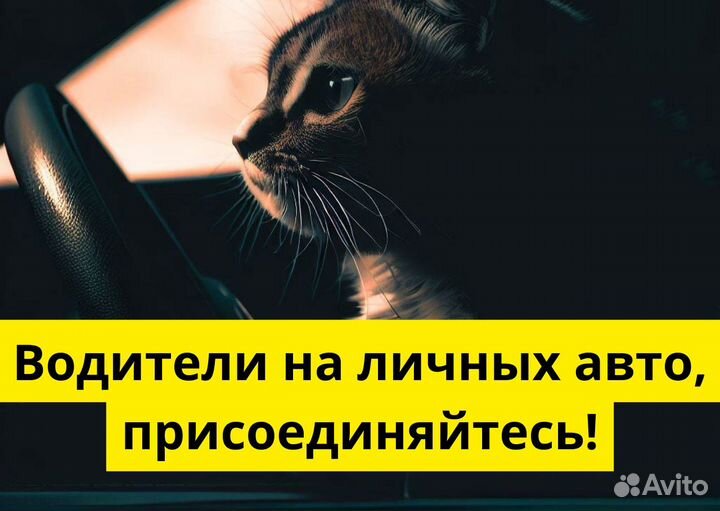 Работа с личным тс в Яндекс.Go