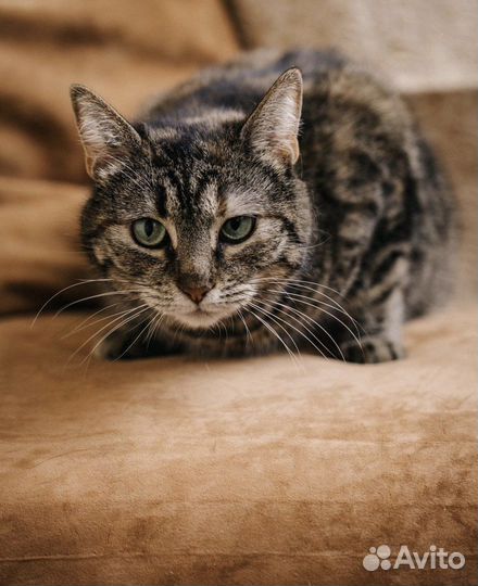 Милочка уже 2 года ждет тебя