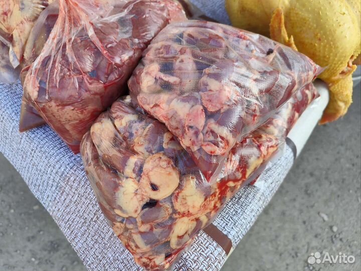 Куры Домашние