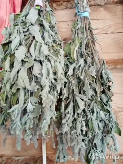 Мята сушеная