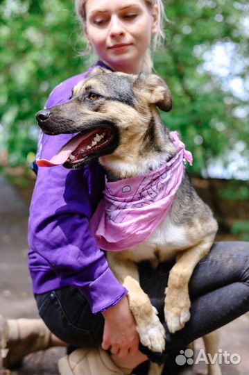 Спасите из клетки