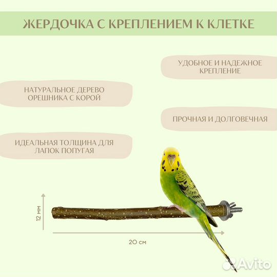 Набор для попугая. Качели, лесенка, игрушка, жердь