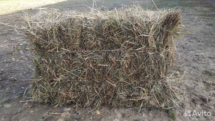 Сено в тюках