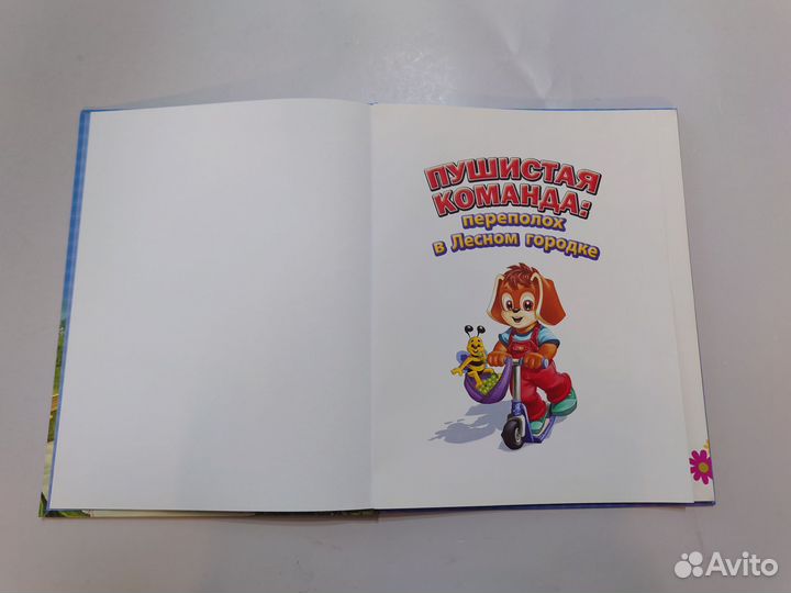 Миклош Мальвина. Пушистая команда