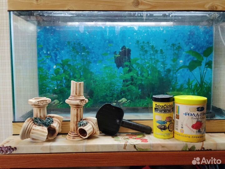 Аквариум