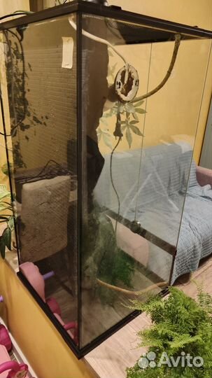 Террариум для хамелеона 90 45 45