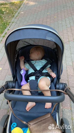 Коляска anex l type 2 в 1