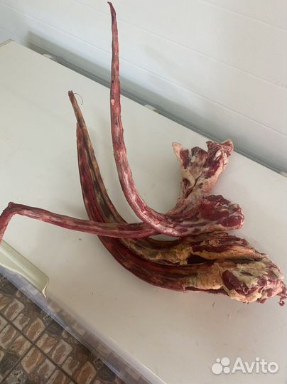 Мясо для собак