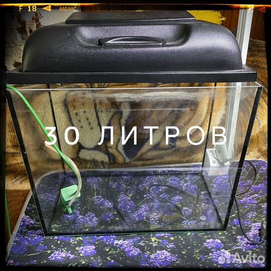 Аквариумы, Террариум