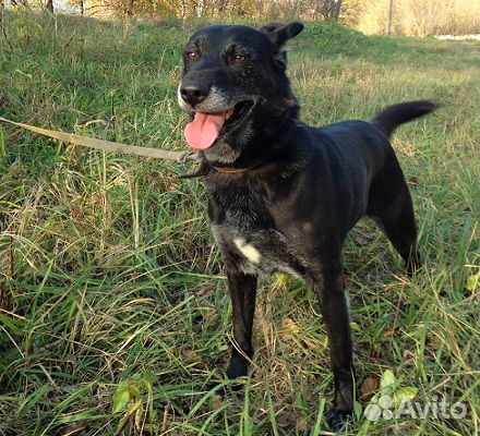 Роскошная Лола: шик, блеск, красота