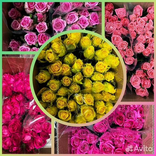 Цветы оптом - розы оптом