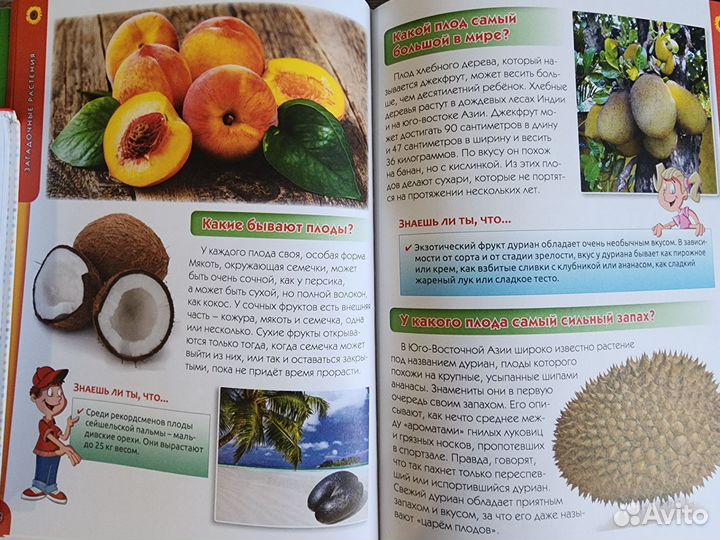 Большая детская энциклопедия