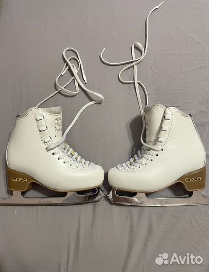 Фигурные коньки edea motivo 190