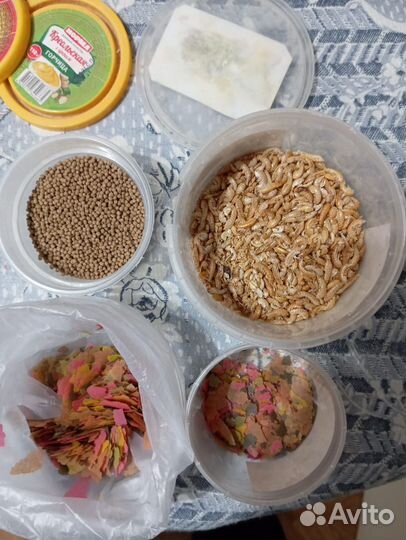 Фильтр и Нагреватель для аквариума