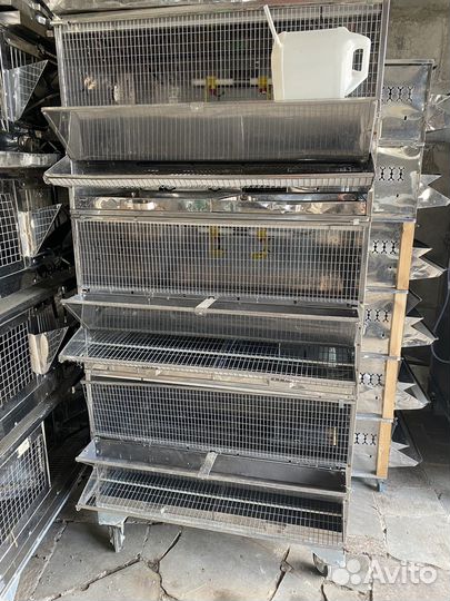 Клетки для куриц и кроликов