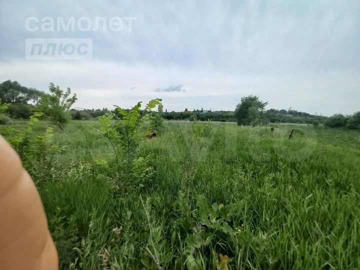 Участок 10 сот. (ИЖС)