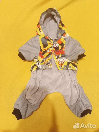 Одежда для маленьких пород собак