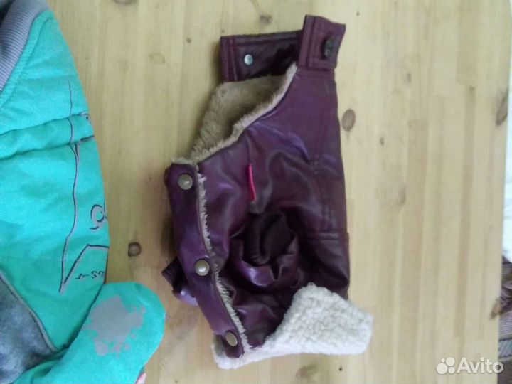 Одежда для маленьких собак