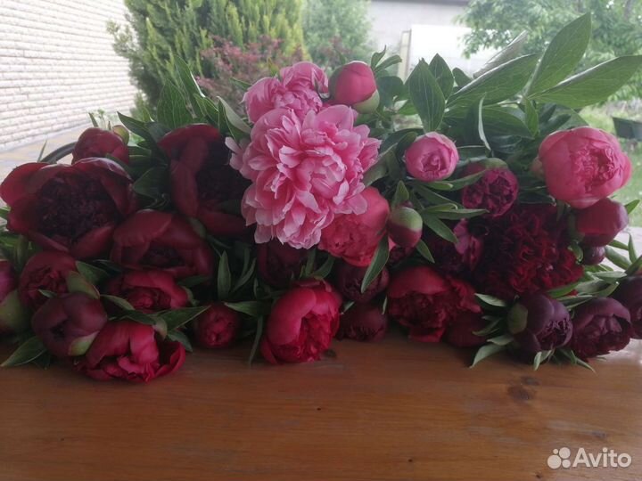 Пионы на срез, букет