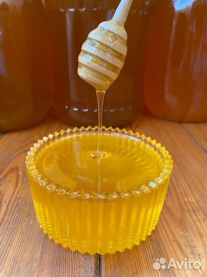 Мед 2023 свежая качка