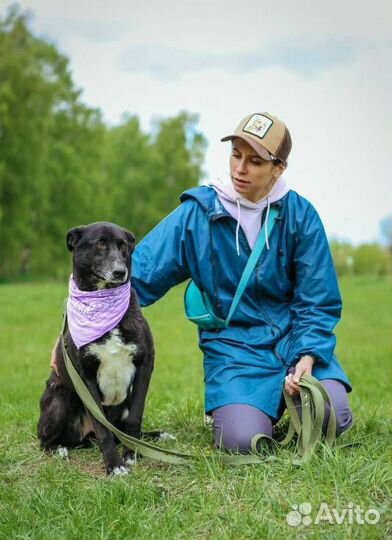 Ласковая Багира из приюта ждет семью