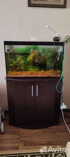 Аквариум