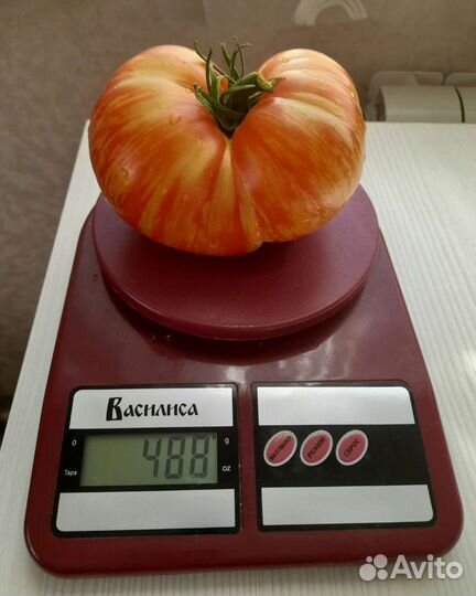 Семена коллекционных сортов помидоров и перца