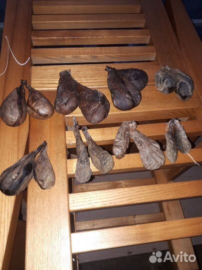 Продукты охоты