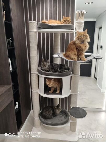 Когтеточка домик для кошки