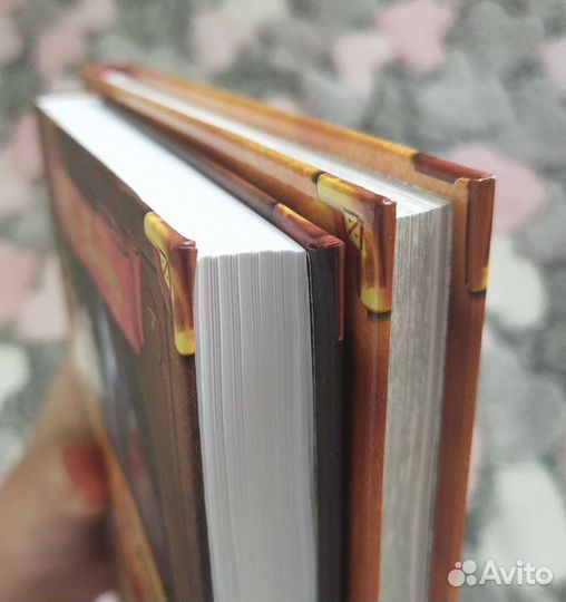 Книги коты воители