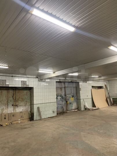 Свободного назначения, 250 м²