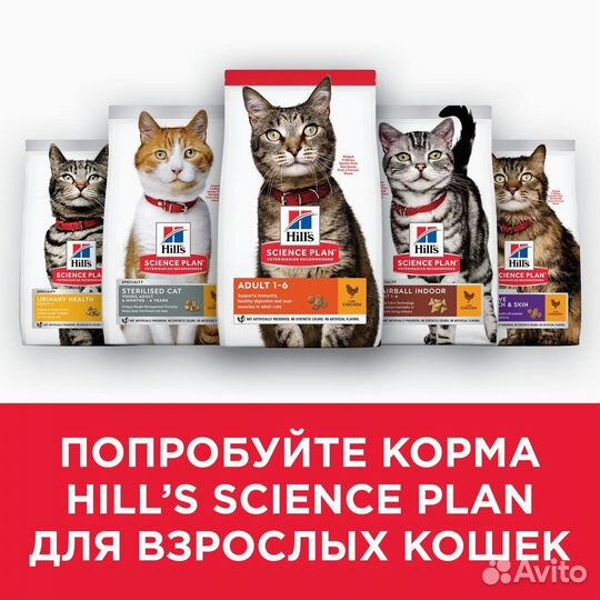 Корм Hill's Science Plan сухой корм для взрослых к