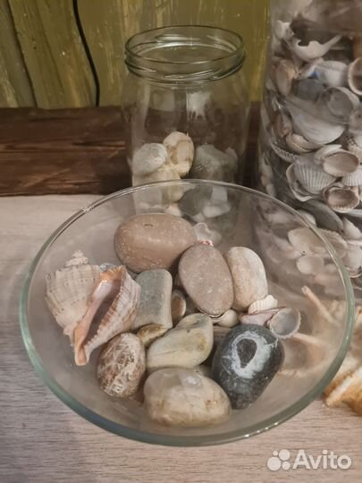 Ракушки и камни для аквариума