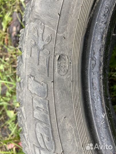 Cordiant Snow Cross 195/55 R15 89