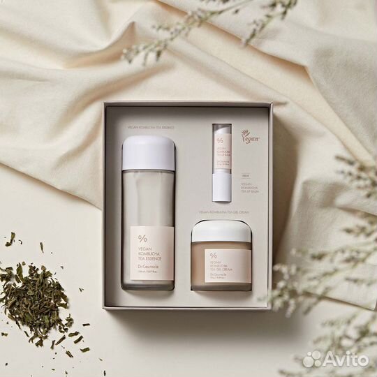 Набор комбуча