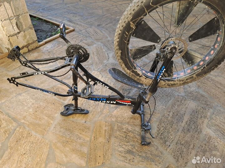 Федбайк Акула