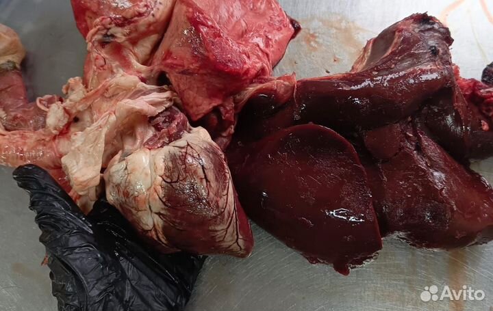 Мясо и кости для собак