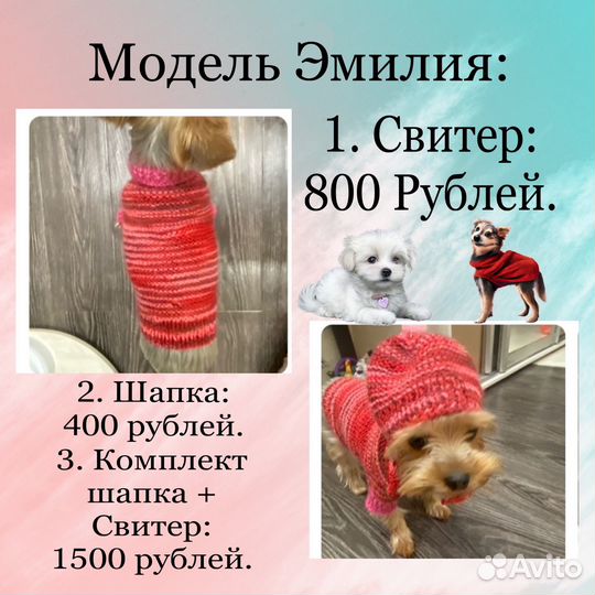 Вязаная одежда для собак