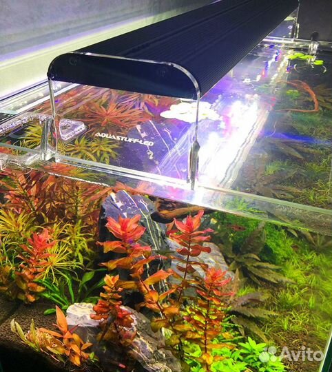 Аквариумное освещение