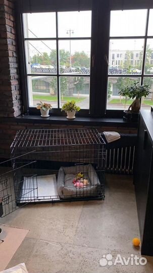 Клетка для животных