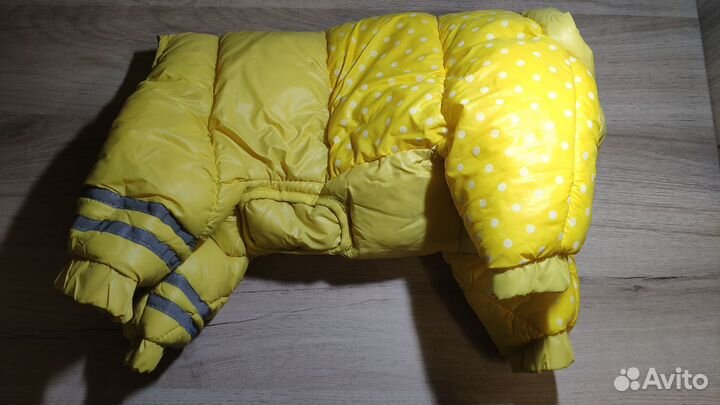 Новая одежда для животных, разных размеров