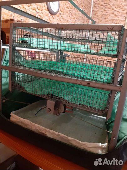 Инкубатор на 210 яиц