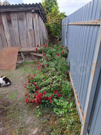 Дом 30 м² на участке 4 сот.