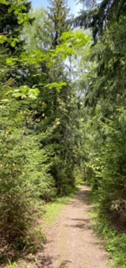 Участок 6,3 сот. (ИЖС)