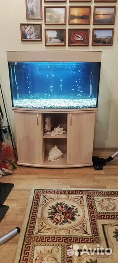 Продам аквариум 160-180 л. с тумбочкой